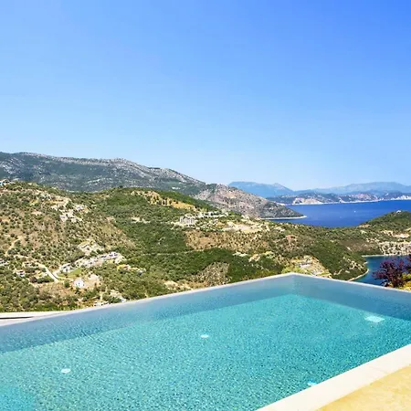 Willa Sakura Bloom By